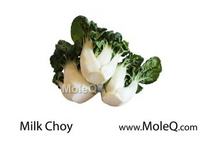 MilkChoy