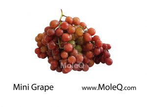 MiniGrape