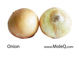 Onion