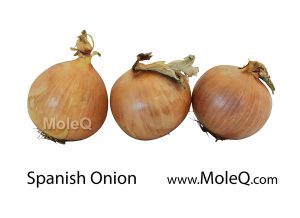 SpanishOnion