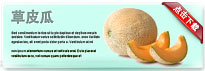 cantaloupe-thum-cn