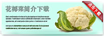 cauliflower-thum-cn