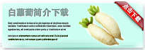 daikon-thum-cn