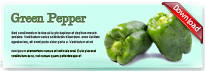 greenpepper-thum-en