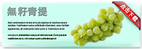 greenseedlessgrape-thum-cn