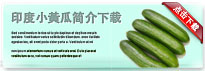 indiancucumber-thum-cn