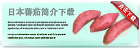 japanesesweetpotato-thum-cn