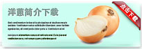 onion-thum-cn