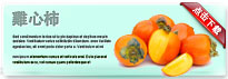 persimmon-thum-cn