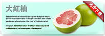 pomelo-thum-cn