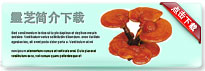 reishimushroom-thum-cn