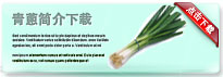 scallion-thum-cn