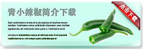 smallgreenpepper-thum-cn