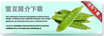 snowpeas-thum-cn