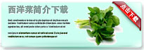 watercress-thum-cn