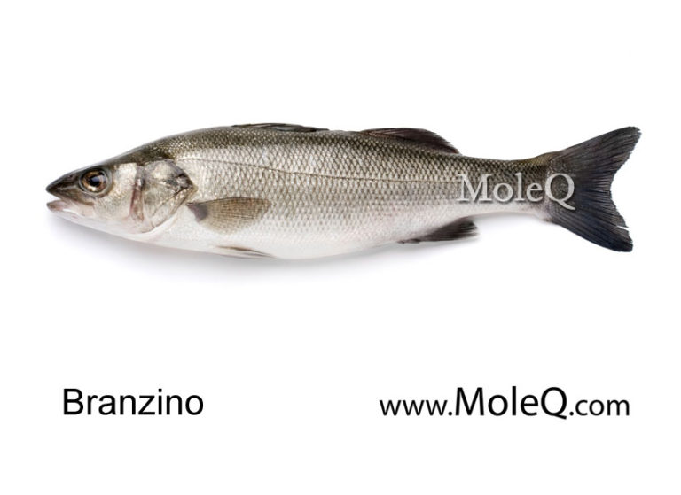 branzino-moleq-inc-food-information