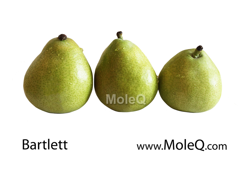 bartlett-pear-moleq-inc-food-information